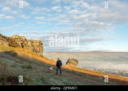 Camminatore del cane che cammina il suo spaniel alle rocce della mucca e del vitello su Ilkley Moor appena dopo l'alba con la nebbia nella valle, Yorkshire occidentale, Inghilterra, Regno Unito Foto Stock