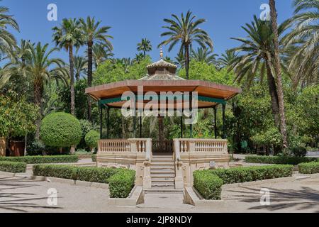 Palco nel Parco Comunale di Elche, provincia di Alicante, Comunità Valenciana. Spagna. Europa. Foto Stock