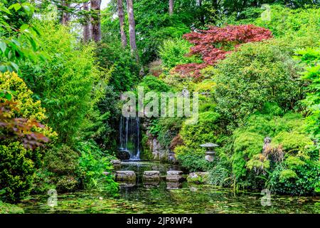 Il Giardino Giapponese a Compton Acres Gardens, Poole, Dorset, Inghilterra, Regno Unito Foto Stock