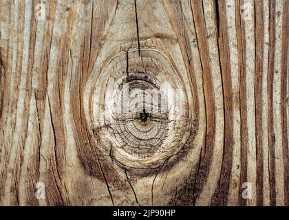 Struttura in legno dettagliata con primo piano su nodo e grana Foto Stock