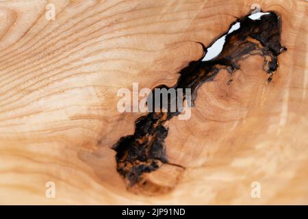 Rovere Burr / Burl ciotola o piatto di legno fatto a mano tornito con crepe e caratteristiche naturali Foto Stock