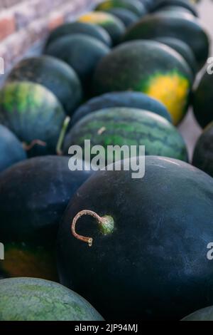 Gruppo di cocomeri maturi e dolci in serra. Anguria raccolta nel campo o fattoria Foto Stock