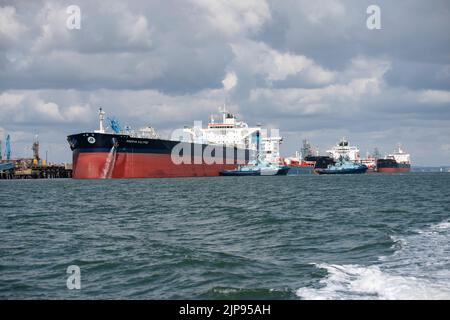 La petroliera Minerva Kalypso ha ormeggiato con altre petroliere presso la raffineria petrolifera Exxon Mobil Fawley di Southampton Water, sulla costa meridionale dell'Inghilterra Foto Stock