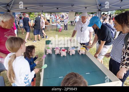 Village Fete UK - bambini che giocano una partita di Pig Race con maiali a batteria; Burton Bradstock Village Fete, Dorset UK Foto Stock