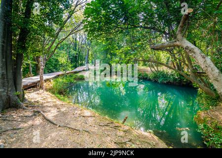 Cascate sul fiume Krka, Croazia. Parte della cascata Skradinski Buk. Luogo famoso nel parco naturale - bella destinazione turistica in Croazia. Fresco Foto Stock