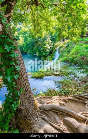 Cascate sul fiume Krka, Croazia. Parte della cascata Skradinski Buk. Luogo famoso nel parco naturale - bella destinazione turistica in Croazia. Fresco Foto Stock