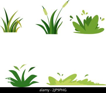 Diversi, bei tipi di piante su sfondo bianco Illustrazione Vettoriale