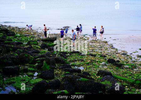 Persone che raccolgono conchiglie sulla spiaggia di Port en Bessin la sera d'estate Foto Stock