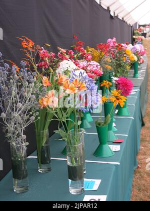 Fiori recisi in mostra in uno dei concorsi floreali in un padiglione al Sandringham Flower Show del 2022 luglio, un evento annuale presso la tenuta della Regina. Foto Stock