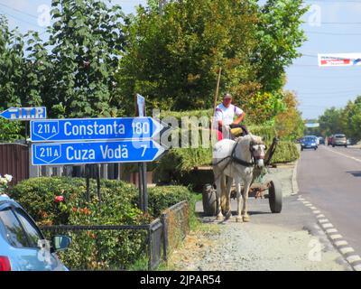 La cosa è cart cavallo sono una grande parte della Romania rurale. Sono molto utilizzati per il lavoro e il trasporto. Foto Stock