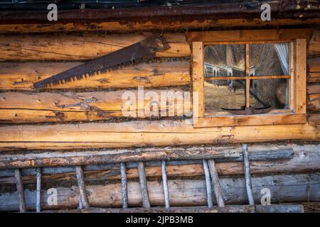 Gli ospiti del Riverboat Discovery si fermano per una visita al Chena Indian Village di Fairbanks, Alaska Foto Stock