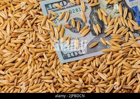 OAT Seed e 100 dollari di legge. Avena agricoltura, commercio e concetto di prezzo di mercato Foto Stock