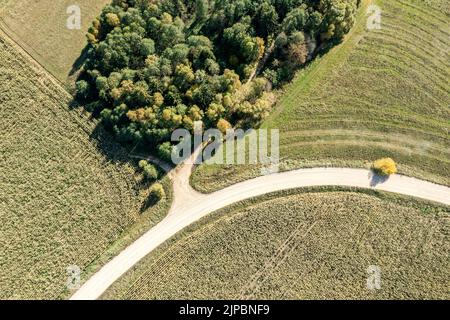 strada di campagna tortuosa tra campi agricoli. pittoresco paesaggio rurale soleggiato. vista dall'alto aerea. Foto Stock
