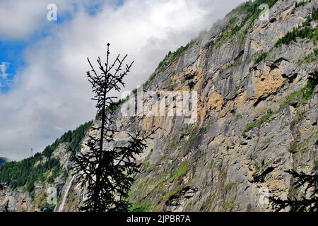 Sulla strada per le cascate di Mürrenbach, vicino Stechelberg, nella valle superiore di Lauterbrunnen, Svizzera, Europa Foto Stock