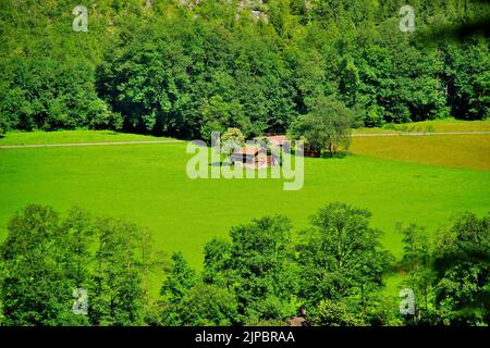 Sulla strada per le cascate di Mürrenbach, vicino Stechelberg, nella valle superiore di Lauterbrunnen, Svizzera, Europa Foto Stock