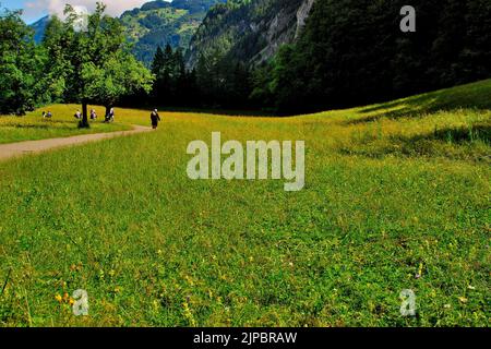 Sulla strada per le cascate di Mürrenbach, vicino Stechelberg, nella valle superiore di Lauterbrunnen, Svizzera, Europa Foto Stock