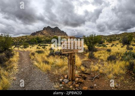 Tonto NF, AZ, USA - 25 dicembre 2021: I diversi tipi di prove che vanno alla sua destinazione panoramica Foto Stock