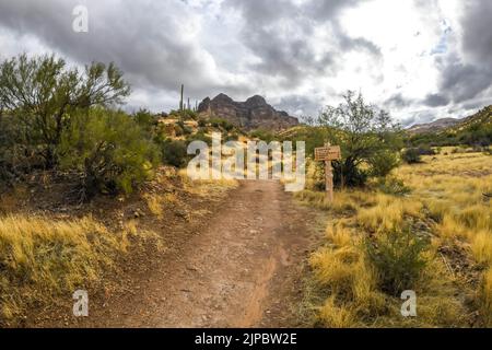 Tonto NF, AZ, USA - 25 dicembre 2021: I diversi tipi di prove che vanno alla sua destinazione panoramica Foto Stock