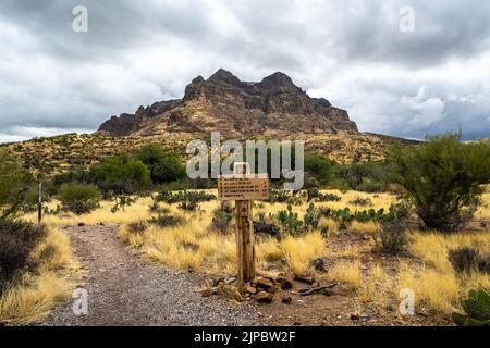 Tonto NF, AZ, USA - 25 dicembre 2021: I diversi tipi di prove che vanno alla sua destinazione panoramica Foto Stock