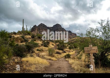 Tonto NF, AZ, USA - 25 dicembre 2021: I diversi tipi di prove che vanno alla sua destinazione panoramica Foto Stock