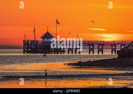 Sole che sorge sulla silhouette di un molo sull'isola di wight con uccelli che volano e un airone sulla spiaggia Foto Stock