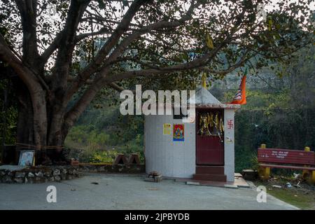 Febbraio 13th 2022 Dehradun India. Un'inquadratura grandangolare di un piccolo tempio nel nord dell'India sotto un fico o albero peepale. Foto Stock