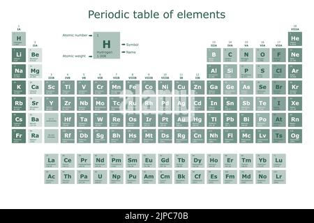 Tabella periodica degli elementi chimici con il loro numero atomico, peso atomico, nome dell'elemento e simbolo Illustrazione Vettoriale