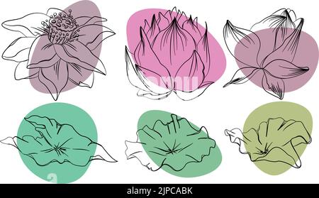 Set di fiori di loto, semi e foglie disegnati a mano. Illustrazione vettoriale isolata su sfondo bianco. Design per stampe, tessuti, matrimoni Illustrazione Vettoriale