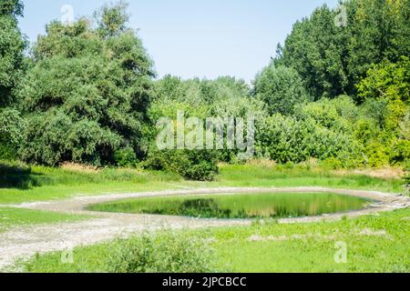 Un laghetto prosciugato vicino al Danubio. Vista su un laghetto prosciugato vicino al Danubio. Foto Stock