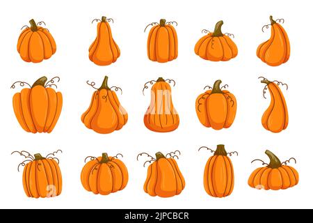 Collezione di zucche in stile piatto su sfondo bianco. Set di verdure d'arancia autunnali. Harvest, il giorno del Ringraziamento e l'illustrazione del cartone animato di Halloween Illustrazione Vettoriale