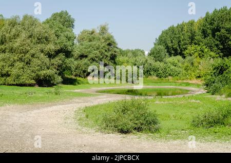 Un laghetto prosciugato vicino al Danubio. Vista su un laghetto prosciugato vicino al Danubio. Foto Stock