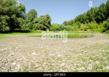 Un laghetto prosciugato vicino al Danubio. Vista su un laghetto prosciugato vicino al Danubio. Foto Stock