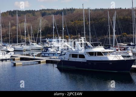 Una mattina di marzo luminosa e tranquilla, yacht a vela e altre imbarcazioni ormeggiate nel Portavadie Marina sul Loch Fyne sulla costa occidentale della Scozia Foto Stock