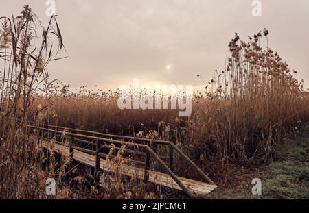 Alba nel parco naturale El Hondo de Elche a Elche-Crevillent, Alicante, spagna. Foto Stock