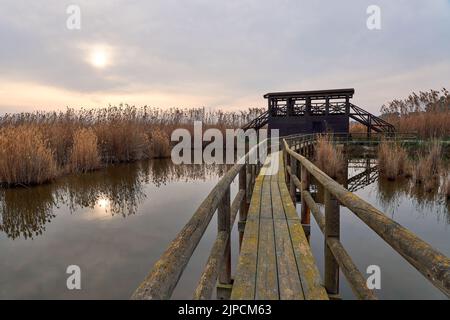 Alba nel parco naturale El Hondo de Elche a Elche-Crevillent, Alicante, spagna. Foto Stock