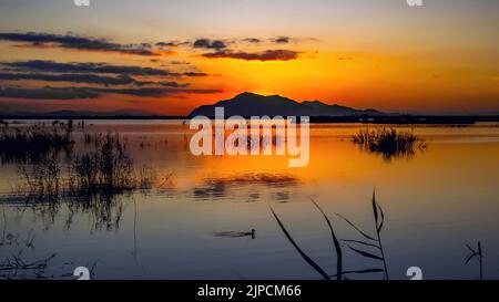 Tramonto nel parco naturale El Hondo de Elche a Elche-Crevillent, Alicante, spagna. Foto Stock