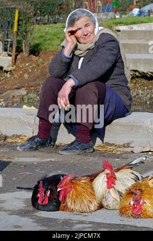 Vecchia signora che vende polli nel mercato di strada, Tirana centrale, Albania Foto Stock