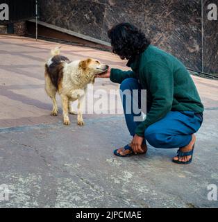 Febbraio 13th 2022, Dehradun Uttarakhand India. Un uomo adulto che conforto e accarezzano un cane randagio . Foto Stock