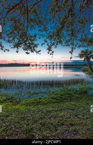 Uno scatto verticale del tramonto colorato sul Lago Zobel, in Florida Foto Stock