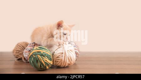 Ritratto di carino cucciolo mordente e giocare con palle di lana di diversi colori su tavolo di legno su sfondo rosa Foto Stock