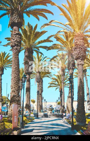 Yanahuara Plaza con gli archi sullo sfondo - Arequipa, Perù, palme nella piazza di Yanahuara. Foto Stock