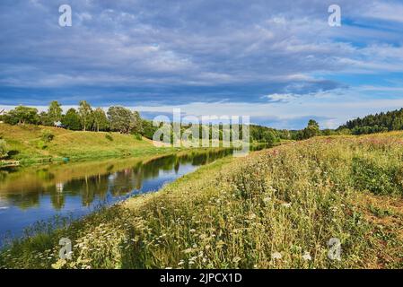 Luminoso paesaggio estivo. Il fiume scorre tra le rive fiorenti. Foto Stock