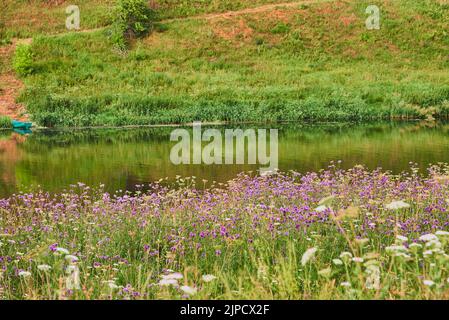 Luminoso paesaggio estivo. Il fiume scorre tra le rive fiorenti. Foto Stock