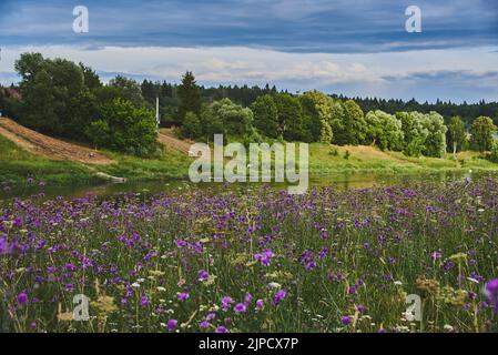 Luminoso paesaggio estivo. Il fiume scorre tra le rive fiorenti. Foto Stock