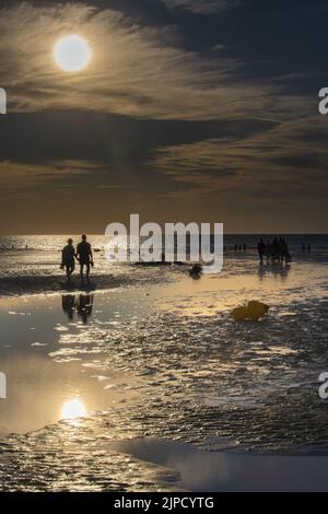 Plage de Ault Carnevale, bateaux, tracteurs remorques, voiliers Foto Stock