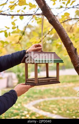 alimentatore di uccelli marrone appeso al ramo dell'albero con foglie gialle, paesaggio autunnale. messa a fuoco selettiva, sfocatura dello sfondo Foto Stock