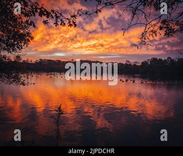 Cielo epico scarlatto tramonto sopra il lago e la foresta in autunno. Spettacolare paesaggio. Simmetria riflessi sull'acqua, specchio naturale. Foto Stock