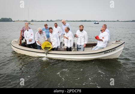 Maasholm, Germania. 17th ago, 2022. I gastronomi della regione intorno allo Schlei rilasciano giovani anguille nello Schlei da una piccola barca. Gli Schleifischer hanno rilasciato circa 108 000 giovani anguille nello Schlei al tradizionale 13th 'Aalutsetten' di mercoledì. Credit: Christian Charisius/dpa/Alamy Live News Foto Stock