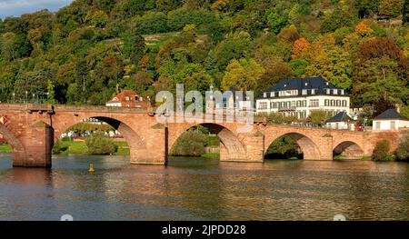 heidelberg, neckar, neckar bridge, heidelberg, neckar Foto Stock