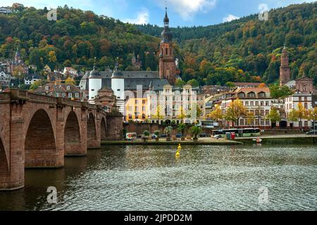 heidelberg, neckar, heidelberg, collari Foto Stock